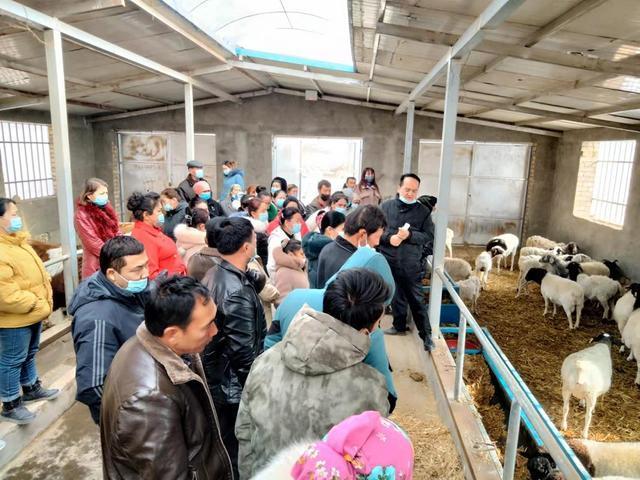2月25日,轮台县群巴克镇组织辖区农民开展畜牧养殖技能培训,为当地